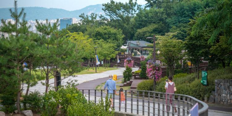 Dream Forest, the third largest park in Seoul. Photo: @Seoul_gov