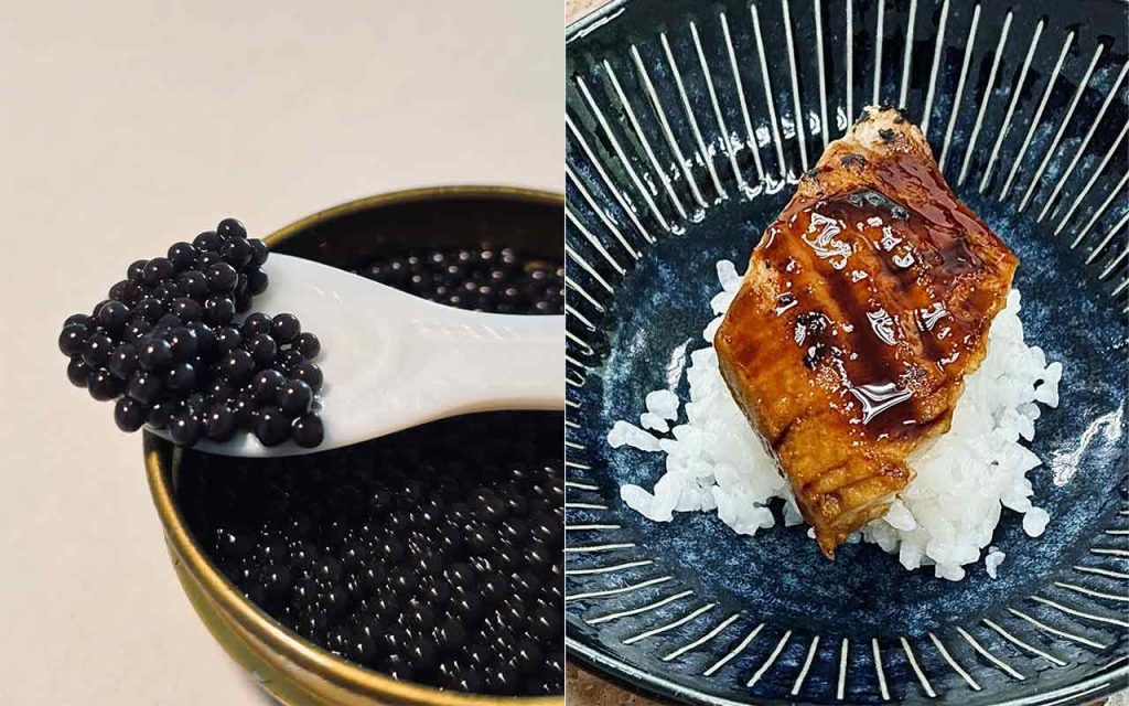 Umami Bioworks builds cultivated seafood and marine bioactives, redefining how Asia sustains its oceans through innovation and sustainable biotechnology.