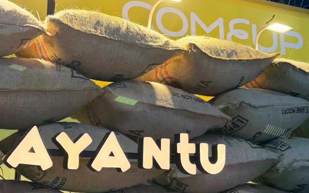 Ayantu Coffee